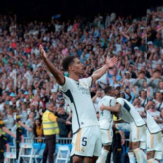 Bellingham 4k iPhone wallpaper