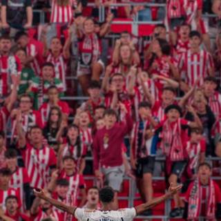 Bellingham 4k iPhone wallpaper