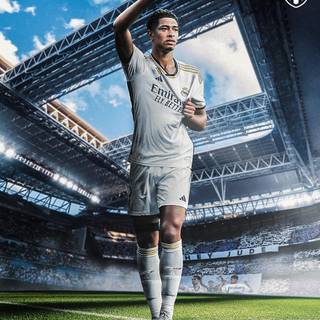 Bellingham 4k iPhone wallpaper