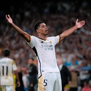 Bellingham 4k iPhone wallpaper