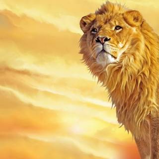 Lion portrait wallpaper