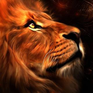 Lion portrait wallpaper