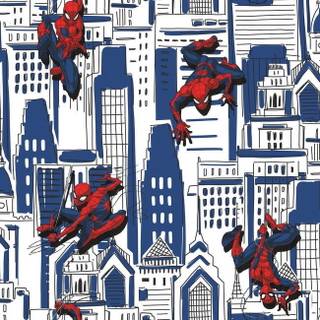 Spider-Man kid wallpaper