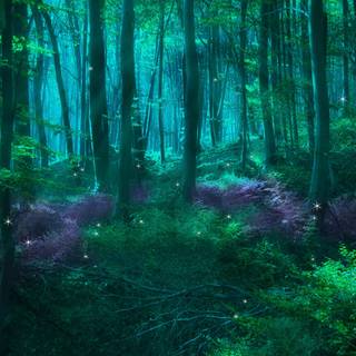 Green fairycore desktop HD wallpaper