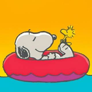 Snoopy iPhone 4k wallpaper