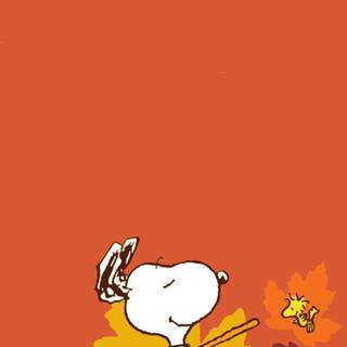 Snoopy iPhone 4k wallpaper