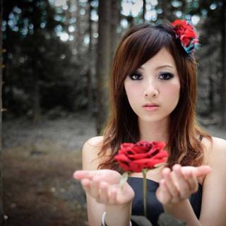 Japan model wallpaper