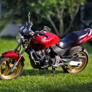 Hornet 250 wallpaper