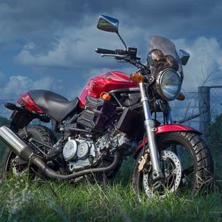 Hornet 250 wallpaper