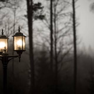 Street light 4k wallpaper