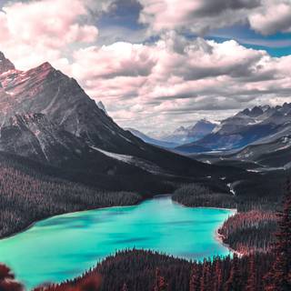 Nature landscape 4k wallpaper