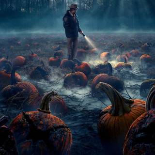 Stranger Things iPhone 4k wallpaper