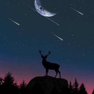 Introvert 4k wallpaper