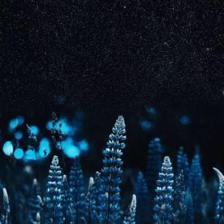 Nature night phone wallpaper