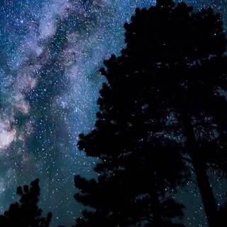 4k nature night wallpaper