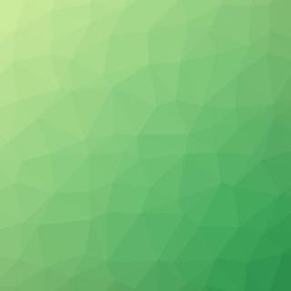 Light green phone wallpaper