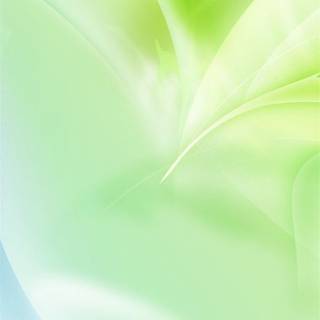 Light green phone wallpaper