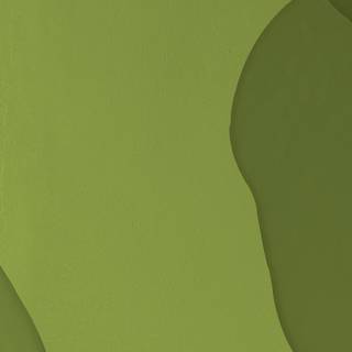 Light green phone wallpaper