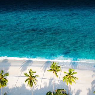 iPhone 13 beach wallpaper