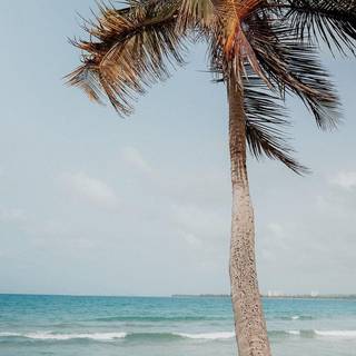 iPhone 13 beach wallpaper