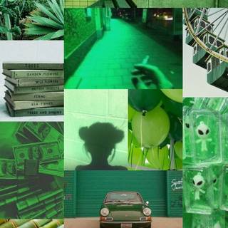 Light green phone wallpaper