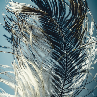 Light green phone wallpaper