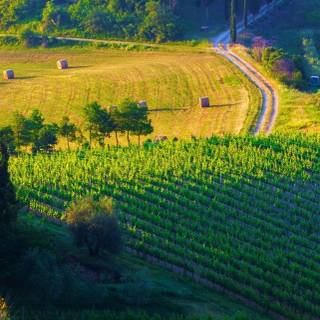 Italia iPhone wallpaper