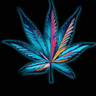 Cannabis iPhone wallpaper