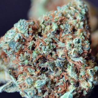 Cannabis iPhone wallpaper