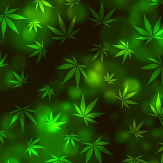 Cannabis iPhone wallpaper