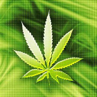 Cannabis iPhone wallpaper