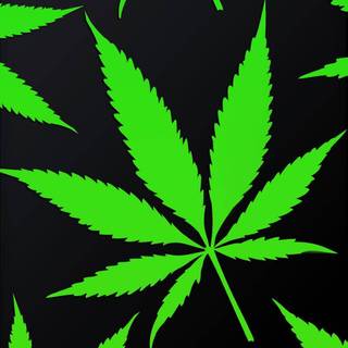 Cannabis iPhone wallpaper