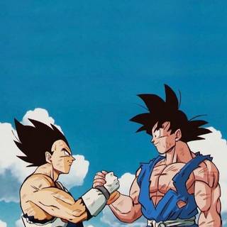 Goku and Vegeta HD 4k phone wallpaper