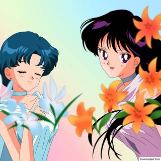 Sailor Mercury desktop wallpaper