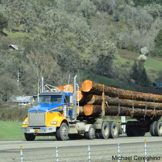Logging semi trucks wallpaper
