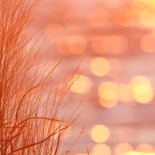 Peach sunset wallpaper