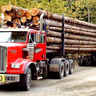 Logging semi trucks wallpaper