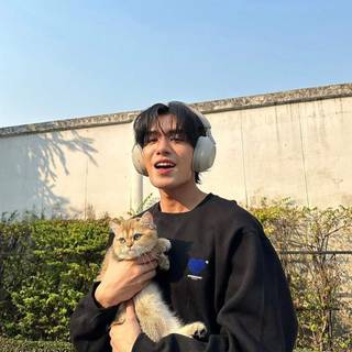 Net Siraphop wallpaper