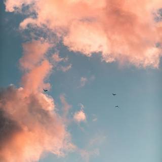 Peach sunset wallpaper