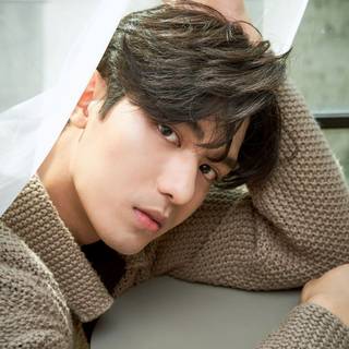 Net Siraphop wallpaper