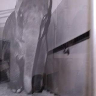 Creepycore wallpaper