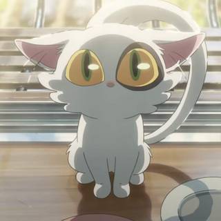 Suzume cat wallpaper