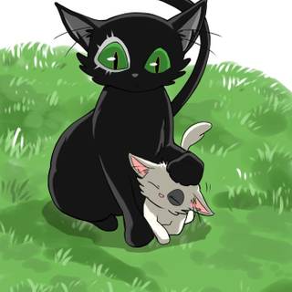 Suzume cat wallpaper