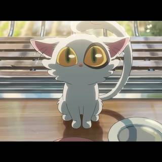 Suzume cat wallpaper