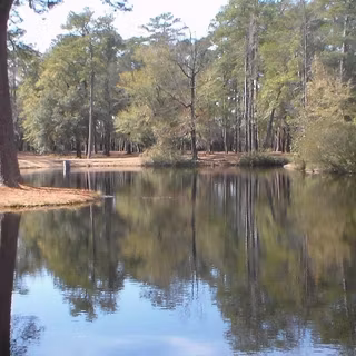 Lee State Park wallpaper