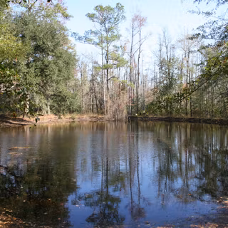 Lee State Park wallpaper