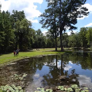 Lee State Park wallpaper