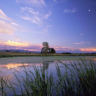 Lee State Park wallpaper