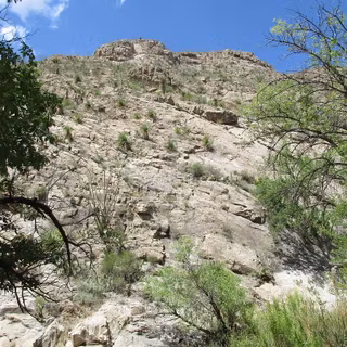 Lee State Park wallpaper