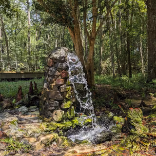 Lee State Park wallpaper